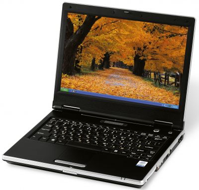 /CatalogImages/DELL-Latitude-D410/011231.jpg